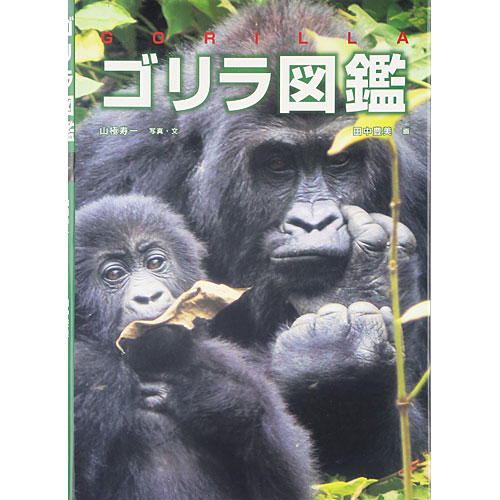 ニコリ 玩具 食器 陶器 雑貨 通販 ゴリラ図鑑 本 書籍 絵本