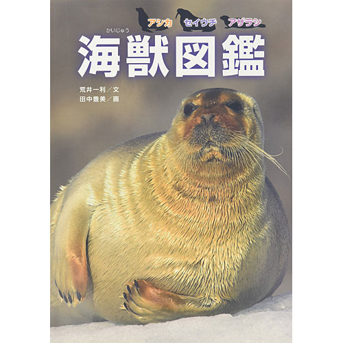 海獣図鑑 本 書籍 絵本 ニコリ 玩具 食器 陶器 雑貨 通販